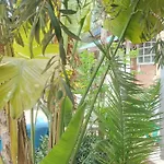 Dom wakacyjny Green Cottage *