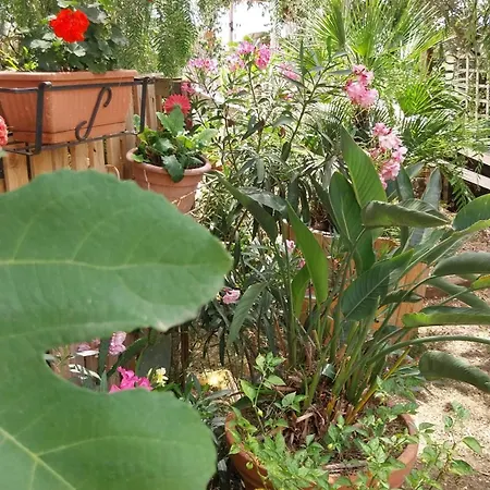 Green Cottage * Agrigento