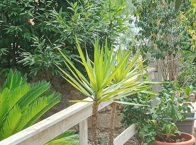 Green Cottage Agrigente