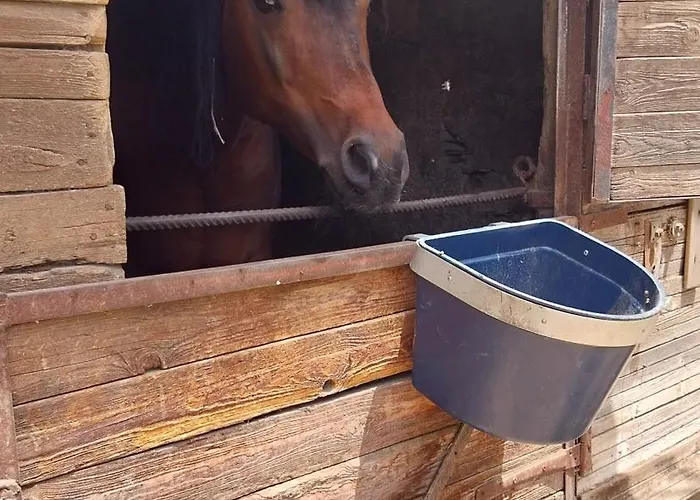 Hébergement de vacances Green Cottage Agrigente