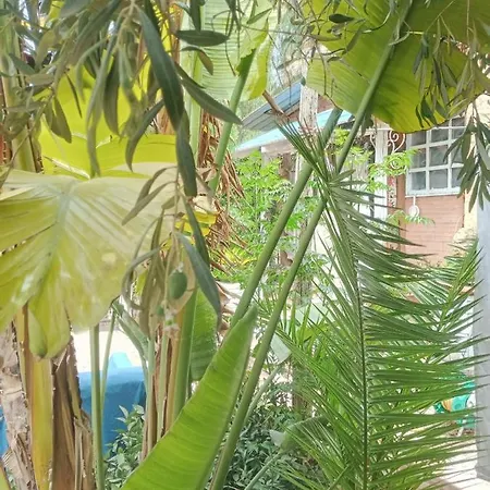 Holiday home Green Cottage *