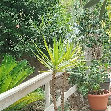 Green Cottage Agrigento