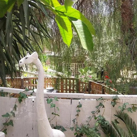 Green Cottage Casa vacanze