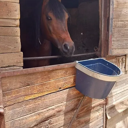 Holiday home Green Cottage Agrigento