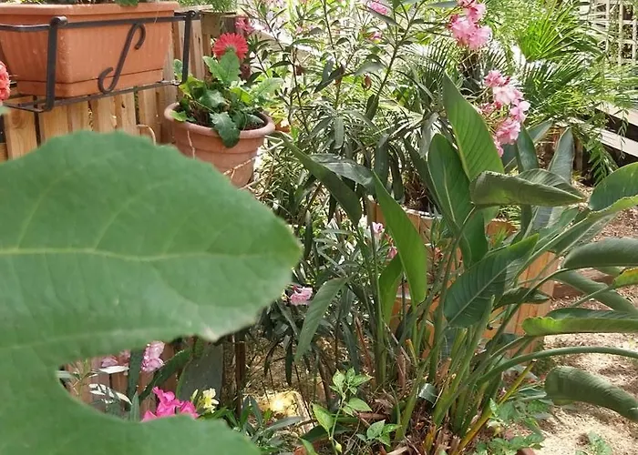 Green Cottage * Agrigento